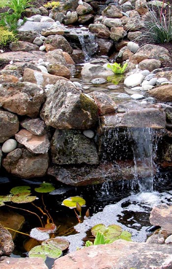 Portland ponds and Beaverton water feature with plants