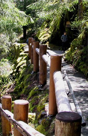 Oregon caves entrance