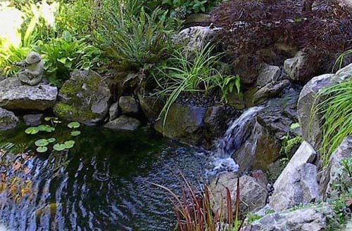 portland waterfall pond