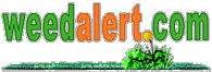 weed alert