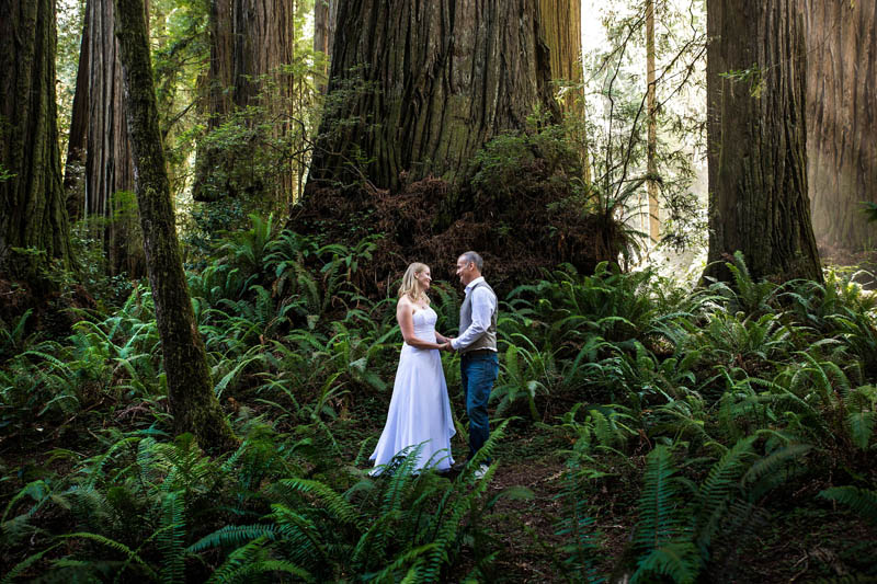 Redwood Weddings Redwood Wedding Photographer In Coast Redwood Parks