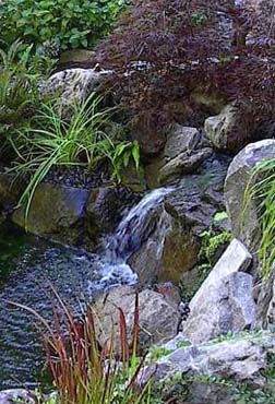 portland medford landscape tree service and landscape designer