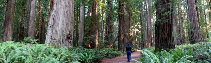 Beacon Rock hiking favorite of Portland Arborist