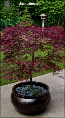 Portland landscape design company om offering Beaverton landscaping