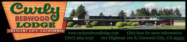 Curly Redwood Lodge Motel Redwood Forest Rooms and Lodging