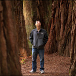 Man in Stout Grove Redwoods