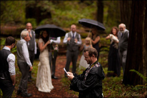 Redwood Wedding at Stout Grove