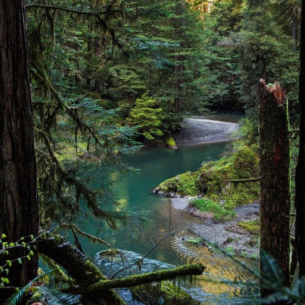 Mill Creek & Redwoods