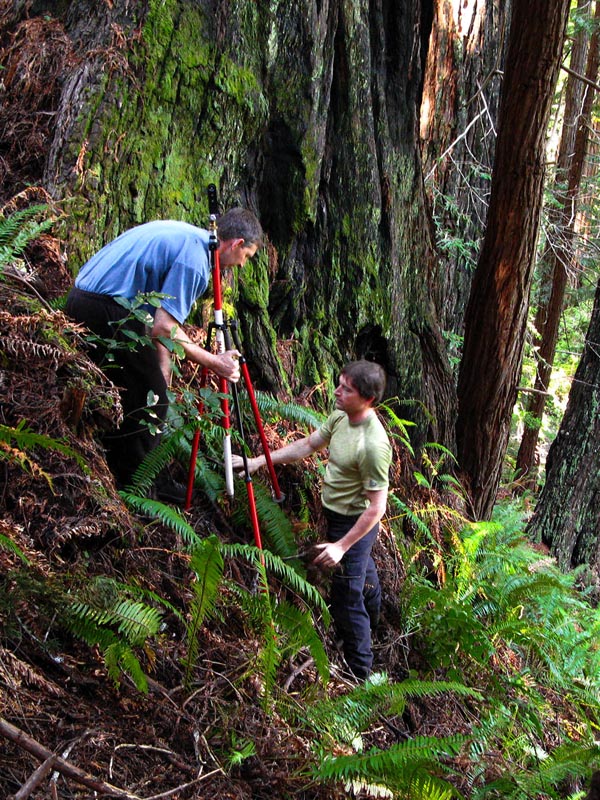 Measuring Redwood with Laser