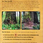 Grove of Titans Redwoods Sign