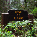Grove of Titans goes Heavy Metal