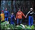 Family around Coast Redwood