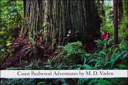 coast redwoods photo  book about  adventures