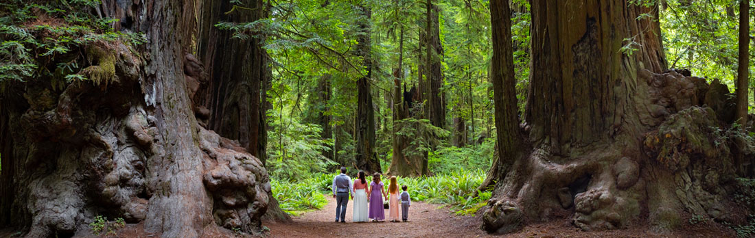 Medford and Ashland Oregon arborist and landscape expert walking in forest