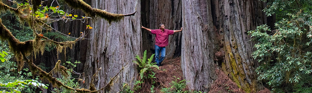Medford and Ashland Oregon arborist and landscape expert walking in forest