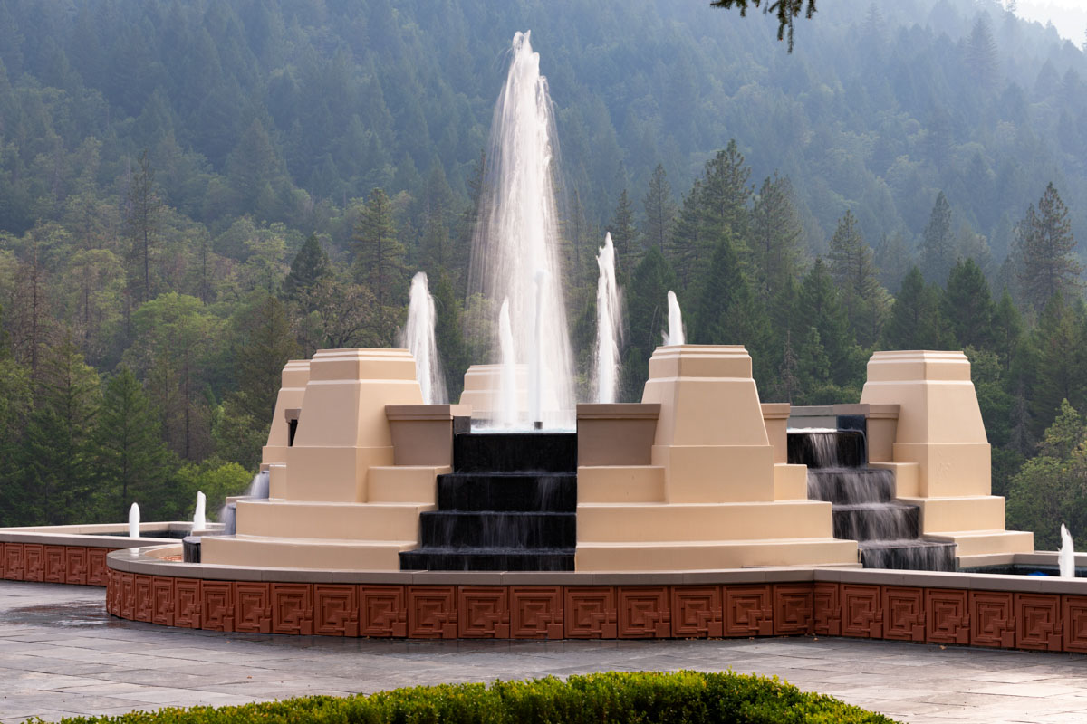 Corrective pruning of Manzanita after