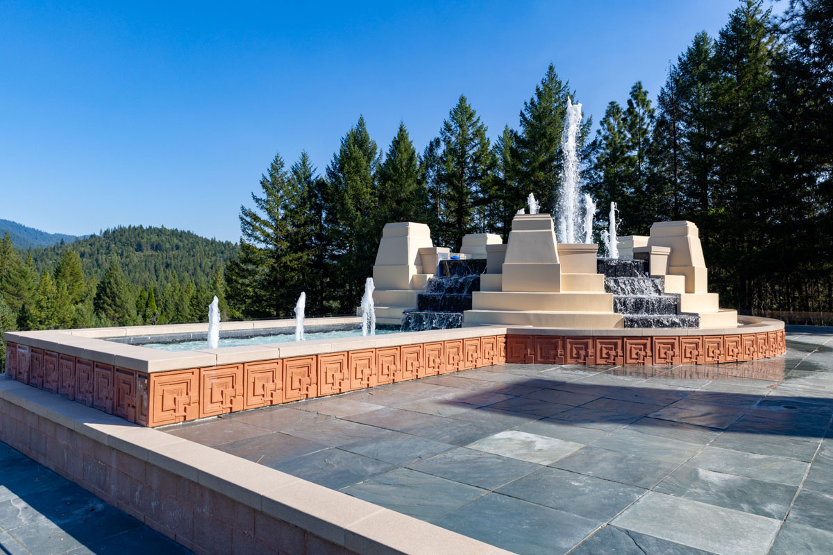 Corrective pruning of Manzanita after