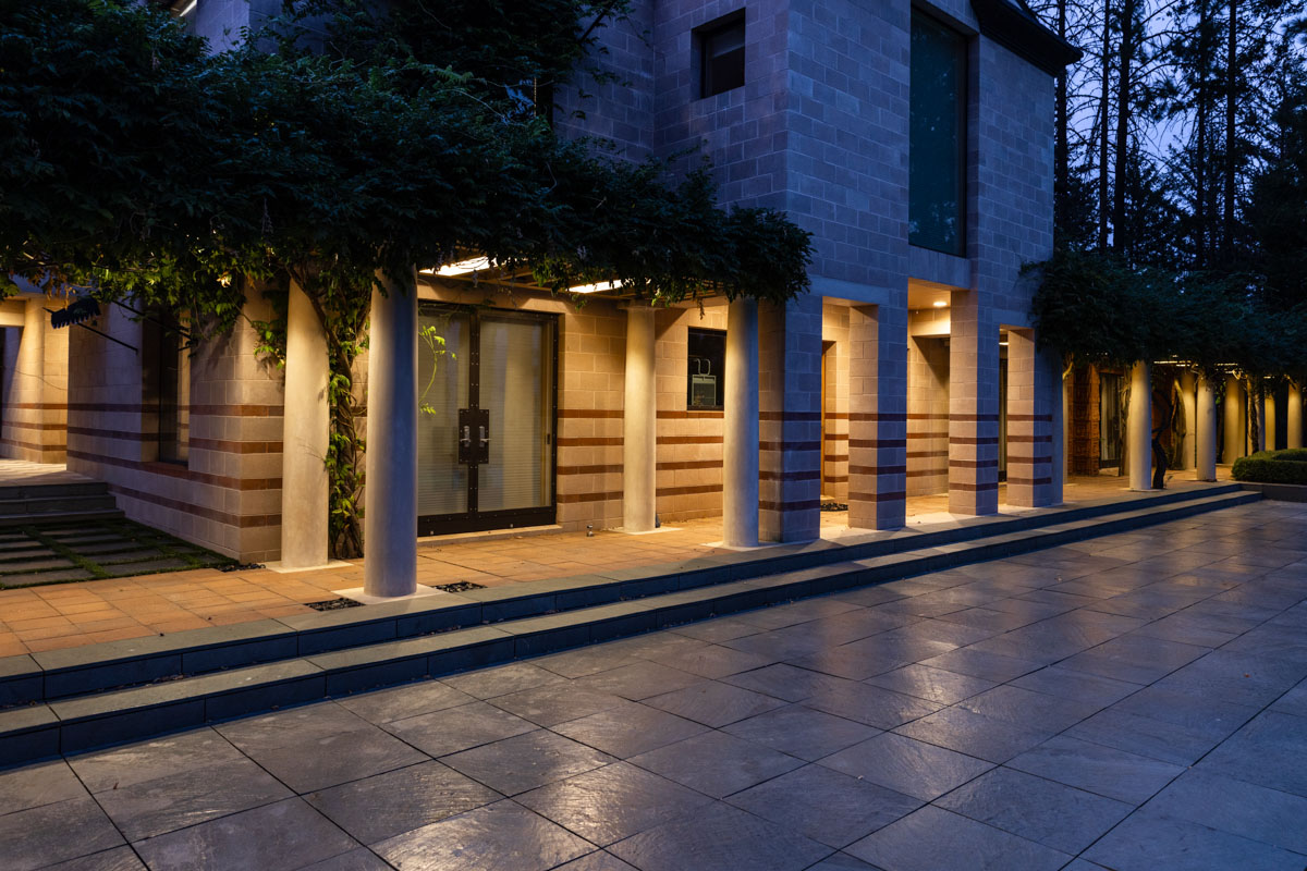 Corrective pruning of Manzanita after