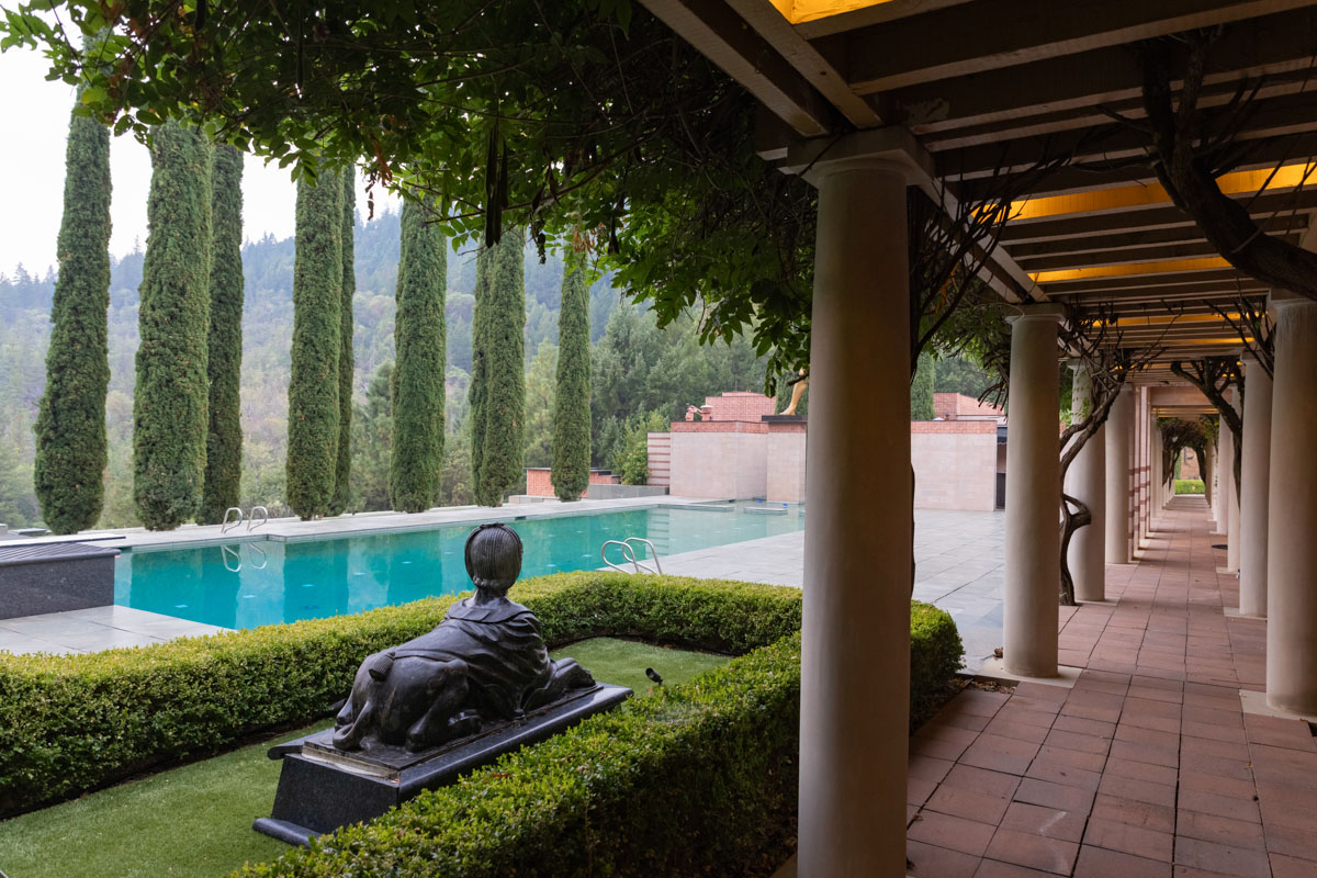 Corrective pruning of Manzanita after